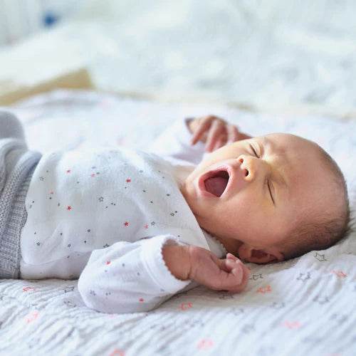 Fascinating Newborn Facts - Kendamil EU