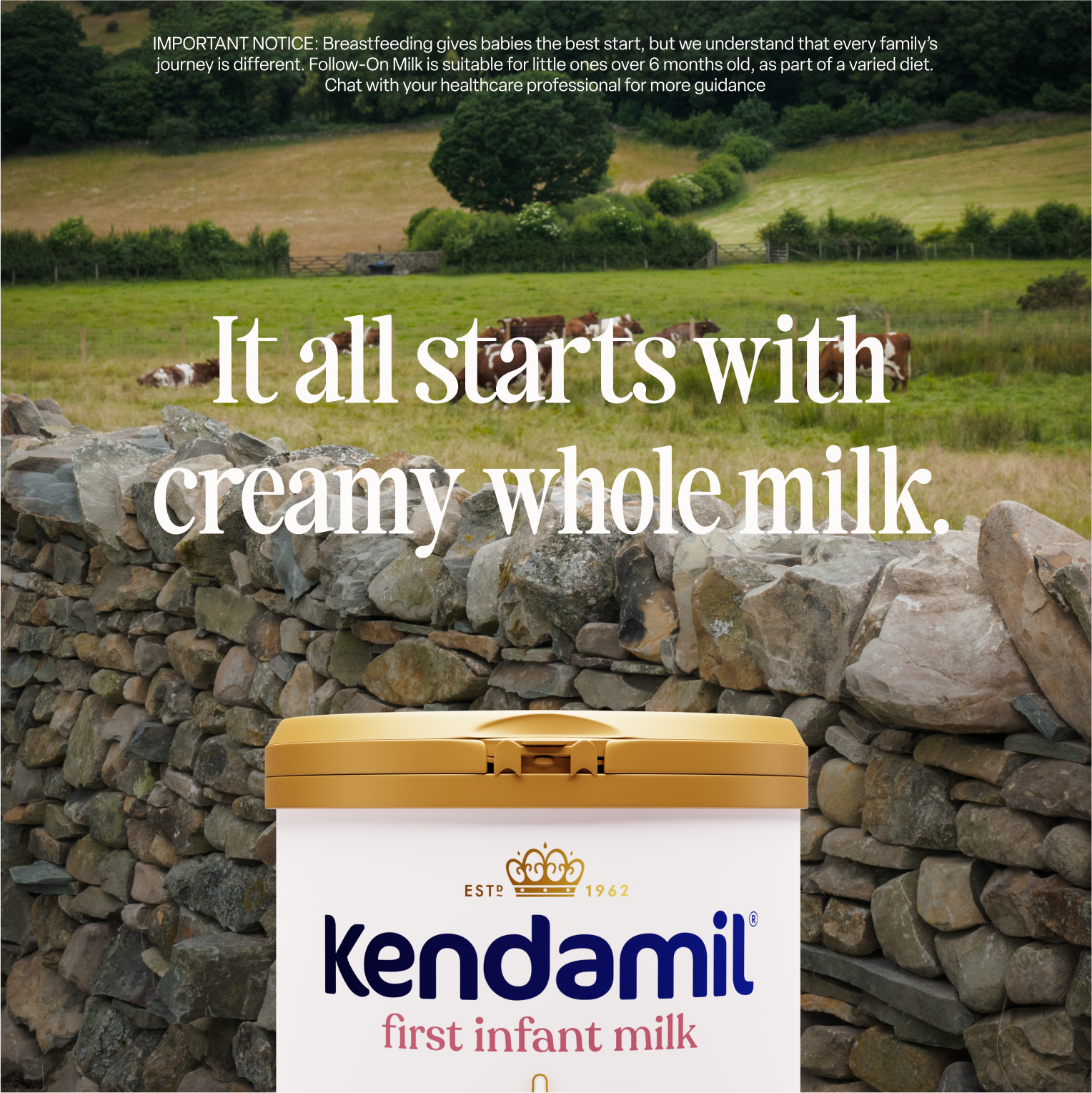 Classic First Infant Milk