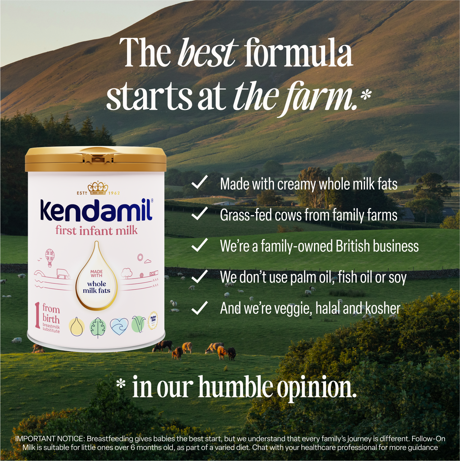 Classic First Infant Milk