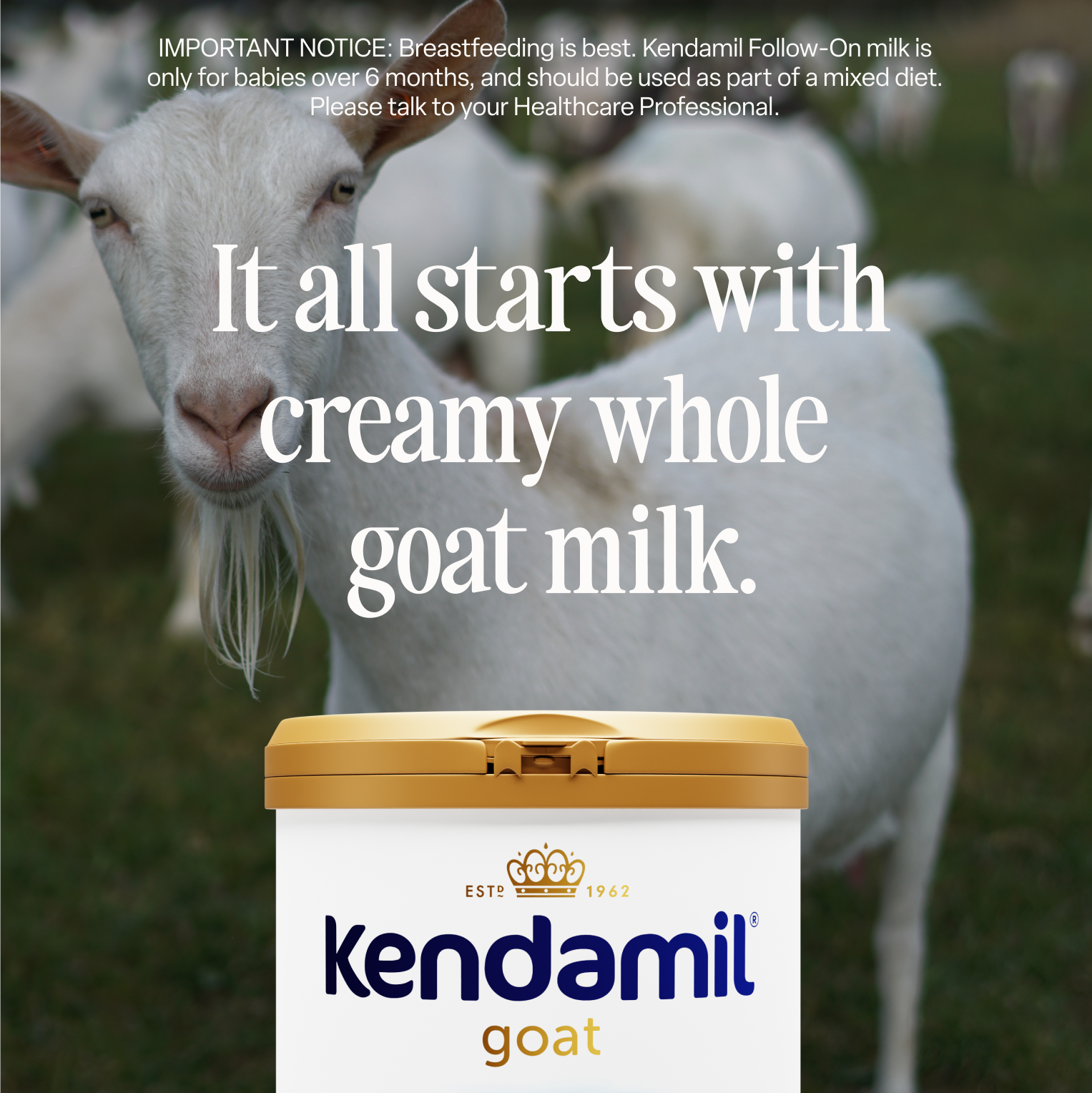 Leche de Cabra de Continuación