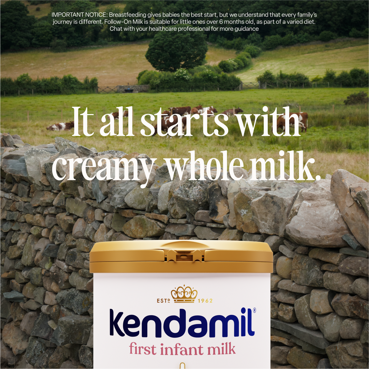 Classic First Infant Milk