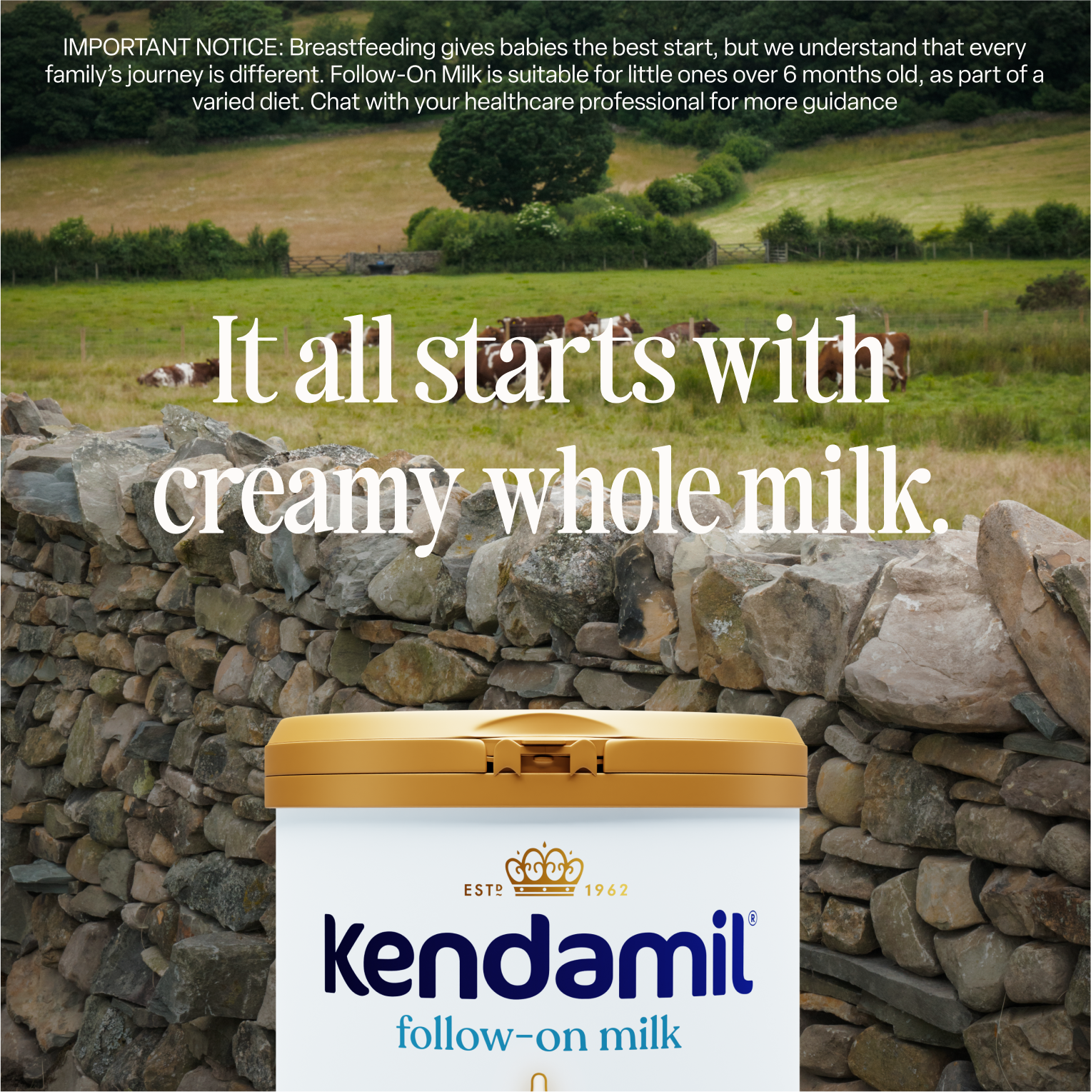 Classic Follow-On Milk