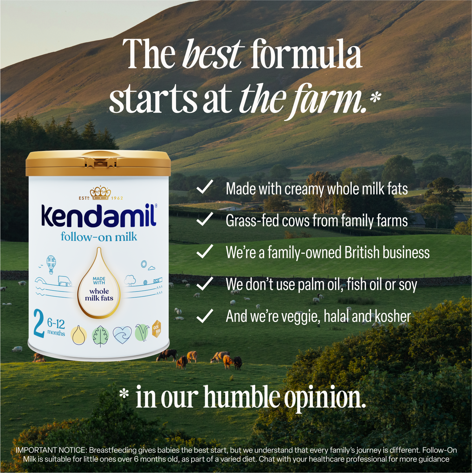 Classic Follow-On Milk
