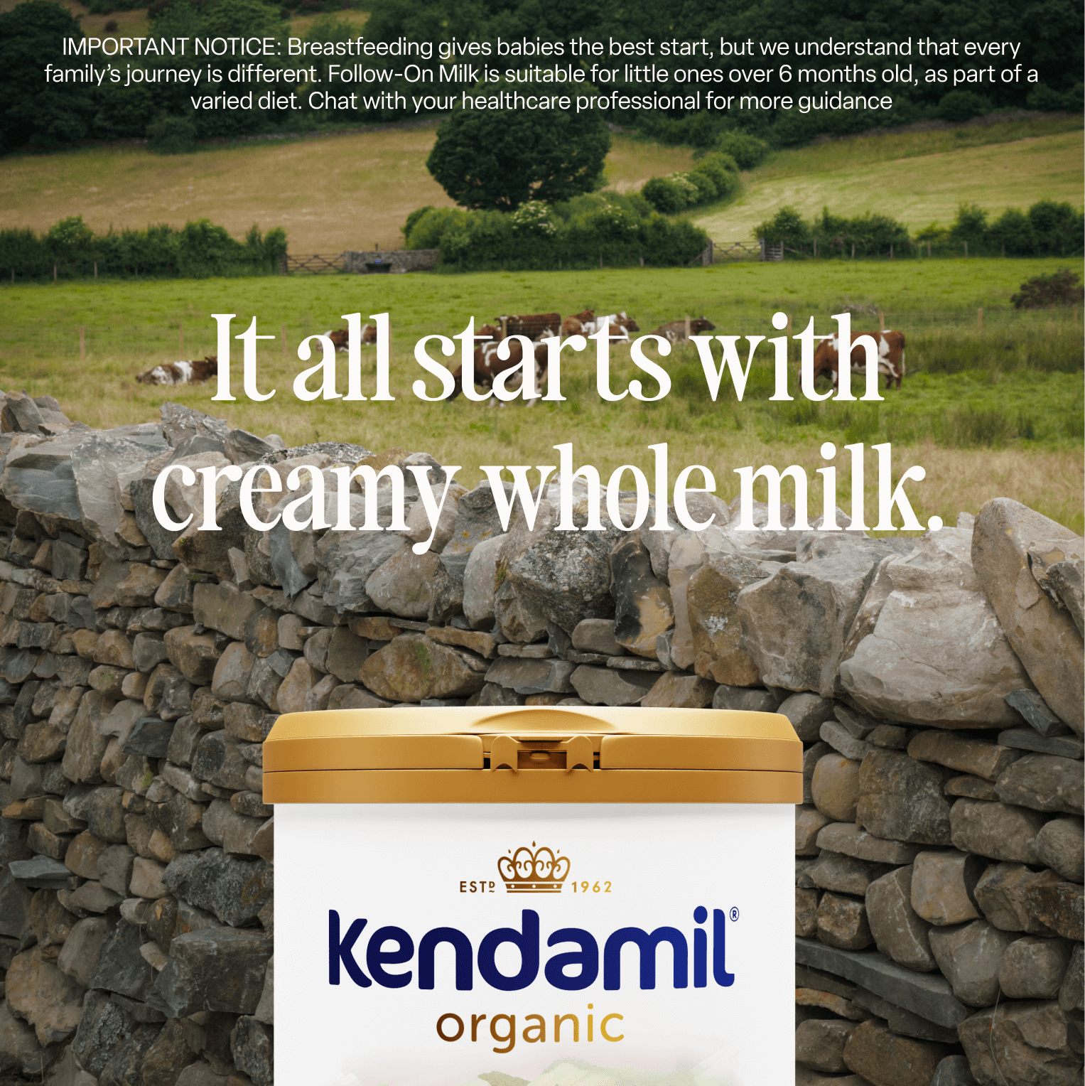 Organic First Infant Milk