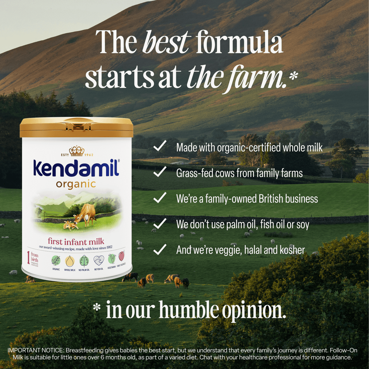 Organic First Infant Milk