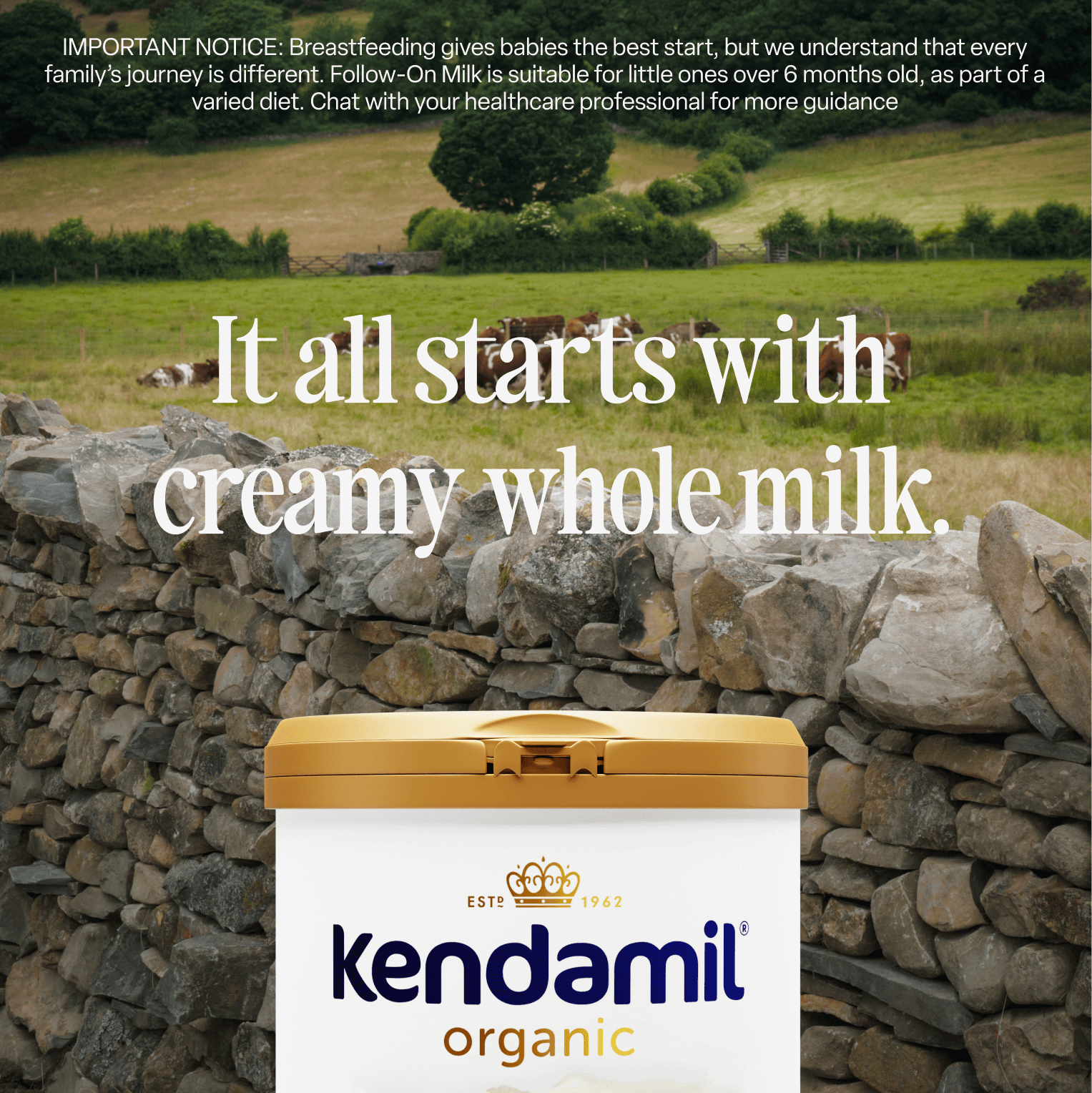 Organic Toddler Milk