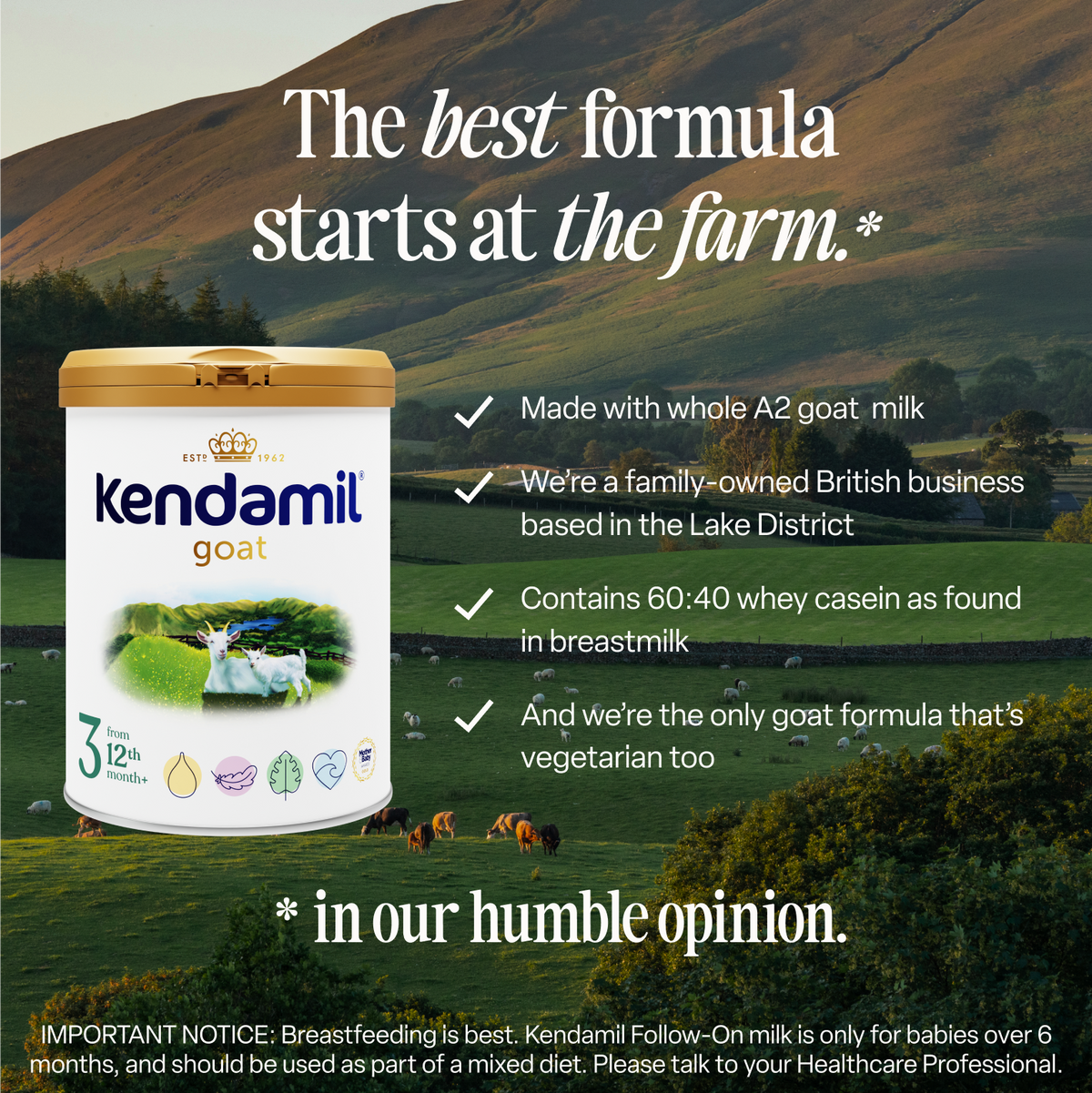 Goat Toddler Milk